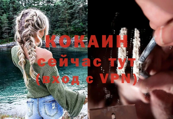 прущие грибы Балахна